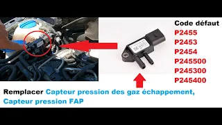 Fault code P2455 P2453 P2454 Change FAP exhaust gas pressure sensor