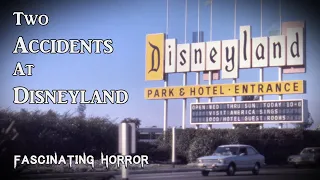 Two Accidents At Disneyland | A Short Documentary | Fascinating Horror