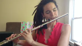 Flute and effects pedals improvisation (with glissando headjoint)