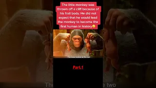 Animal kingdom: let’s go ape (Part 1)
