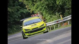 Onbord Ranca Peugeot 206 RC grupa A2 2019