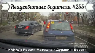 Неадекватные водители! Быдло на дороге! Подборка №255! Road Rage Compilation on Dashcam!