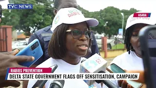 Delta State Government Flags Off Sensitization, Campaign