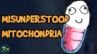 Do Broken Mitochondria Make You Age?