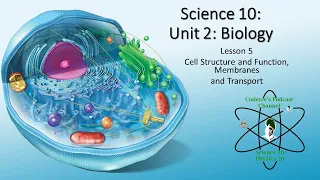 Science 10 Biology Lesson 5 Cell Transport