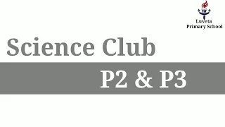 Science Club P2 & P3 || Light Bending