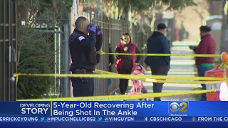 Girl, 5, Shot In The Ankle In Albany Park