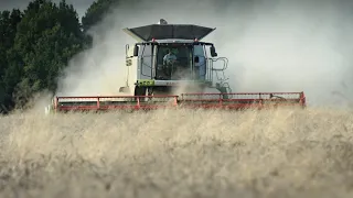 S KOMBAJNEM DO SVĚTA 2 / ŽNĚ 2020 / @CLAAS LEXION 770TT / sestřih / HARVEST 2020 / CZECH REPUBLIC