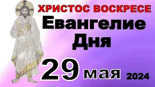 Включи прямо сейчас!  Евангелие дня 29 мая  2024 года