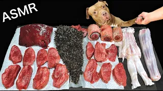 Dog MUKBANG Pitbull Eating Raw Beef Meat Parts