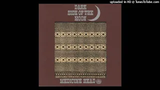 Medicime Head -  Dark Side Of The Moon  * 1972