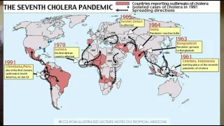 All you need to know on Cholera