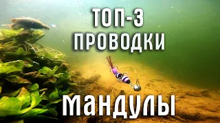 Приманка МАНДУЛА. ТОП-3 ПРОВОДКИ! Как правильно подать приманку?