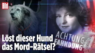 Cold Case: Lieselotte Lauer – wurde sie in einer Brücke einbetoniert? | Achtung Fahndung