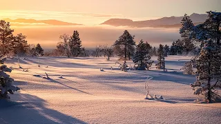 10 Mind-Blowing Facts About Snow🌨️🔍❄️