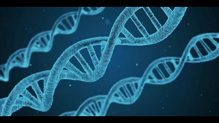 Dark DNA : The Biological Dark Matter is the Driving Force Of Evolution?!