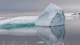 Antarctica - Zodiacs, Icebergs, Penguins