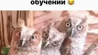 Родители и дети на дистанционном обучении🤣🤣