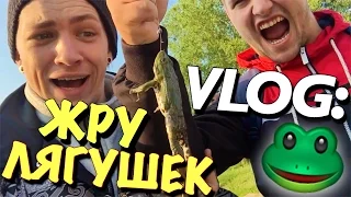 VLOG: ЖРУ ЛЯГУШЕК Х ВЫЖИВАНИЕ / Андрей Мартыненко