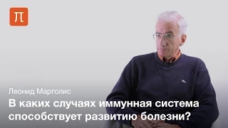 Иммунная активация и болезни человека — Леонид Марголис