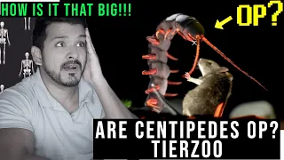 Are Centipedes OP? (TierZoo) CG Reaction