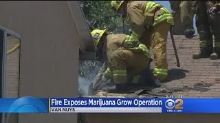 Fire At Van Nuys Home Tips Authorities To Marijuana Grow Operation