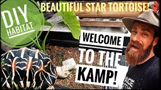 New Star Tortoise Habitat DIY!