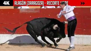 Gran CONCURSO DE RECORTE LIBRE en ALAGÓN 2020 con toros de LOS MAÑOS ▶ 4K