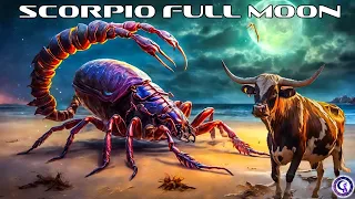 Scorpio Full Moon Metamorphosis! Mercury Direct! Venus & Mars Reign at Home