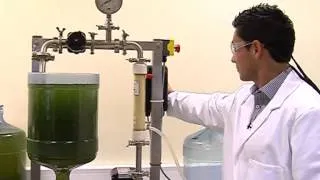 Michael Gerardo, Swansea University - membrane filtration harvesting microalgae