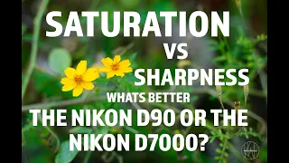 Nikon D7000 Opinion: Which Is Better? Can The D90 Compare?