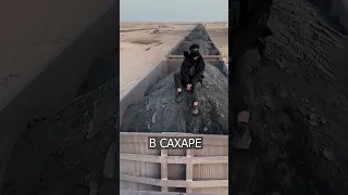 Самый ДЛИННЫЙ ПОЕЗД в мире засняли в Африке