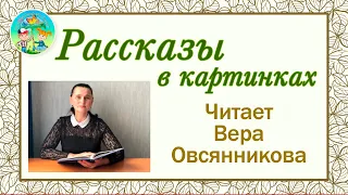 Эдуард Шим "Что это ночью светится?" // Читаем сказки // ЦДТ "Ново-Переделкино"