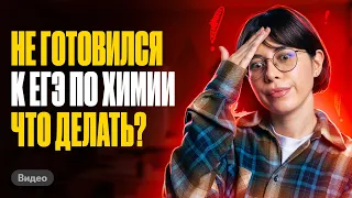 КАК сдать ЕГЭ по химии, если не готовился весь год? | Катя Строганова