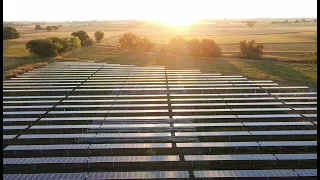 Agrivoltaics: Solar Farm to Table