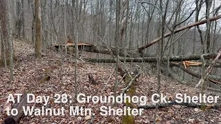 AT Thru Hike 2024 Day 28: Groundhog Ck. Shelter to Walnut Mtn. Shelter