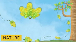 Nature Short Story for Children: The Little Leaf