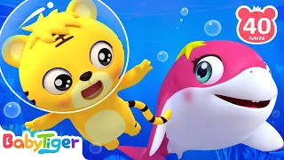 Let's Dance! Baby Shark Doo Doo Doo +More Animal Songs | Animal Friends & Nursery Rhymes | BabyTiger