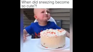 cute babies sneezing compilation