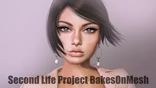 Second Life Project BakesOnMesh