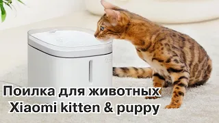 Забота о животных с новой поилкой Xiaomi Kitten & Puppy