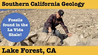Southern California Geology | Fossils found!