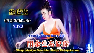 魏佳艺 - 用余生忘记你 (抖音热播DJ版) Yong Yu Sheng Wang Ji Ni【Menghabiskan Sisa Hidup Untuk Melupakanmu】Terjemahan