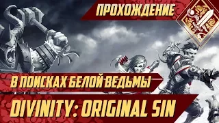 В поисках Белой Ведьмы - Divinity Original Sin #40