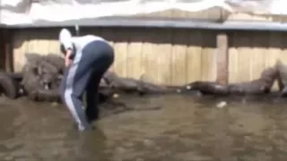 Student Alligator Wrestling Class at Colorado Gators. (Instructor is bitten by 11.5 ft gator.)