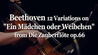 Beethoven 12 Variations on "Ein Mädchen oder Weibchen" from Die Zauberflöte op.66
