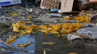 UTV. В Оренбурге из за карантина образовались свалки мусора