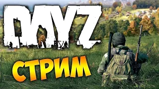 Фарм идём к F416  Играем Dayz  ПвЕ Сервер Живи и Выживай (Мутанты) #dayz #дейзи