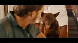 RED DOG - Official Trailer