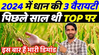 धान की ये 3  वैरायटी पिछले साल थीं टॉप पर | Dhan ki top variety 2024 | Dhan ki kheti | Dhaan kheti